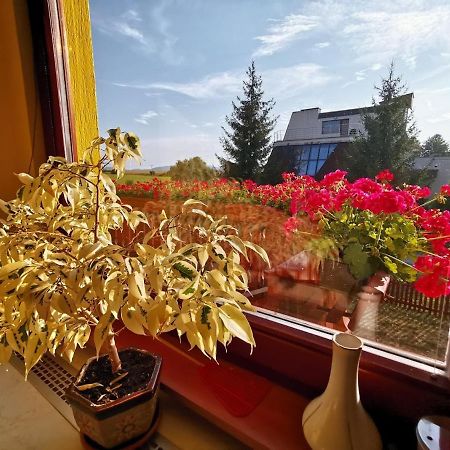 Apartman Adrianka Turčianske Teplice Екстериор снимка