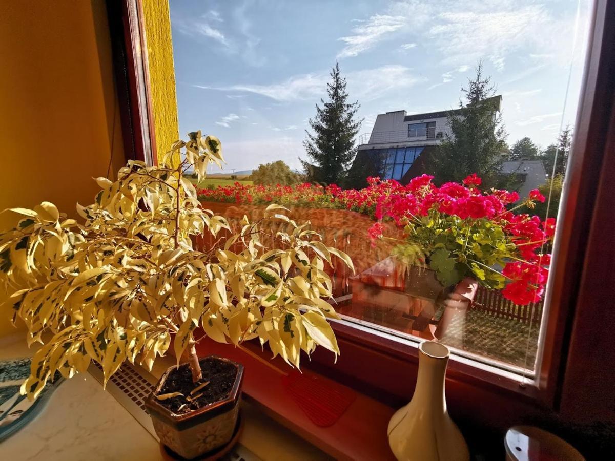 Apartman Adrianka Turčianske Teplice Екстериор снимка